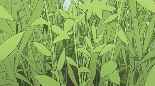 236169236073202.gif