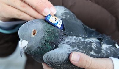 0g69lg6TZWZnwjE.jpg