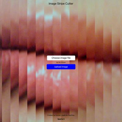 Image Stripe Cutter