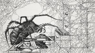 The Thoughts of a spider web