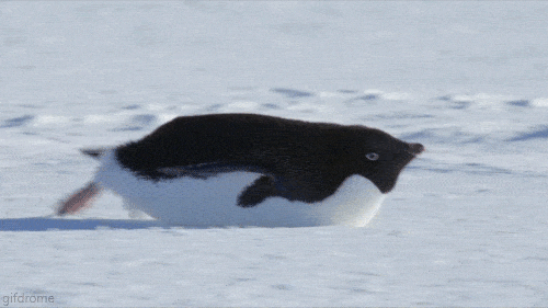 scaled_full_9fdf7fb32ba18de05601.gif