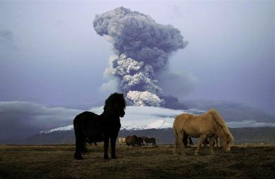 Iceland volcano: news from the rim