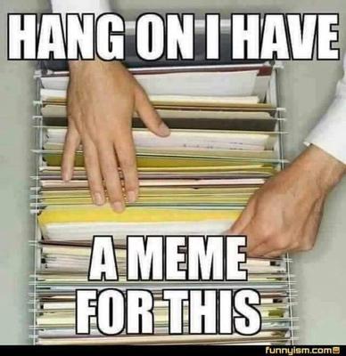 A Meme For This
