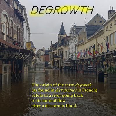degrowth/décroissance