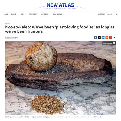 Not-so-Paleo: We’ve been ‘plant-loving foodies’ as long as we’ve been hunters