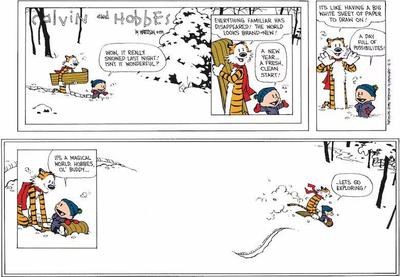 The Final Calvin & Hobbes cartoon