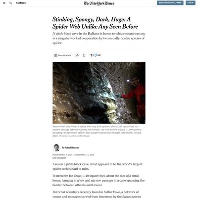 Stinking, Spongy, Dark, Huge: A Spider Web Unlike Any Seen Before