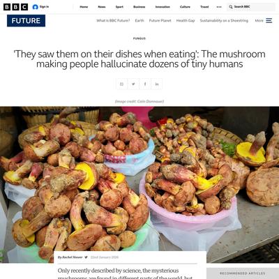 'They saw them on their dishes when eating': The mushroom making people hallucinate dozens of tiny humans - BBC Future