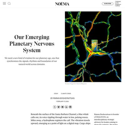 Our Emerging Planetary Nervous System