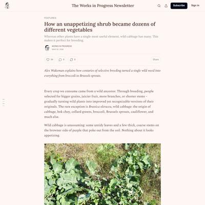 How an unappetizing shrub became dozens of different vegetables