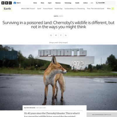 Surviving in a poisoned land: Chernobyl's wildlife is different, but not in the ways you might think - BBC Future