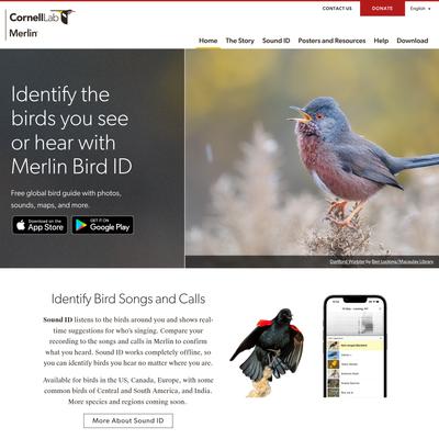 Merlin Bird ID – Free, instant bird identification help and guide for thousands of birds – Identify the birds you see