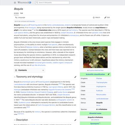 Boquila - Wikipedia