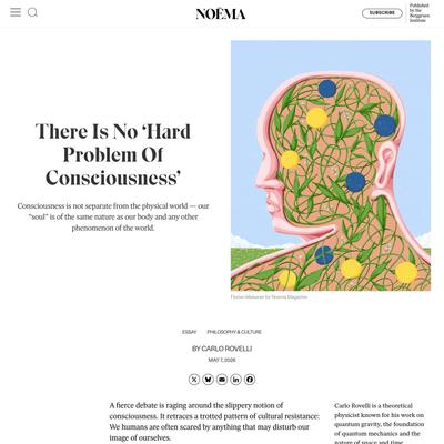 There Is No ‘Hard Problem Of Consciousness’ - NOEMA