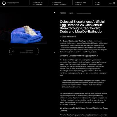 Colossal Biosciences Artificial Egg Hatches 26 Chickens in Breakthrough Step Toward Dodo and Moa De-Extinction - Colossal