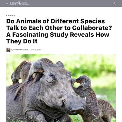 Do Animals of Different Species Talk to Each Other to Collaborate? A Fascinating Study Reveals How They Do It