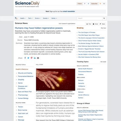 Humans may have hidden regenerative powers | ScienceDaily