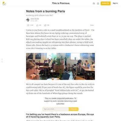 Notes from a burning Paris - by Sarah Wilson