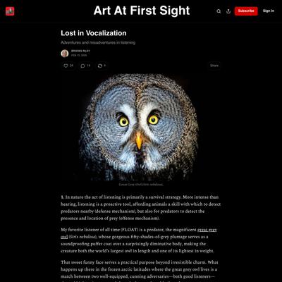Lost in Vocalization - by Brooks Riley - Art At First Sight
