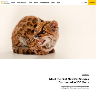 Meet the First New Cat Species Discovered in 100 Years | National Geographic