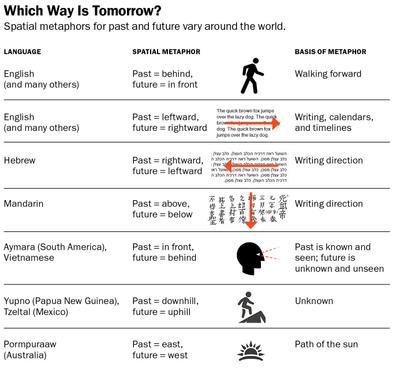 Which Way is Tomorrow?