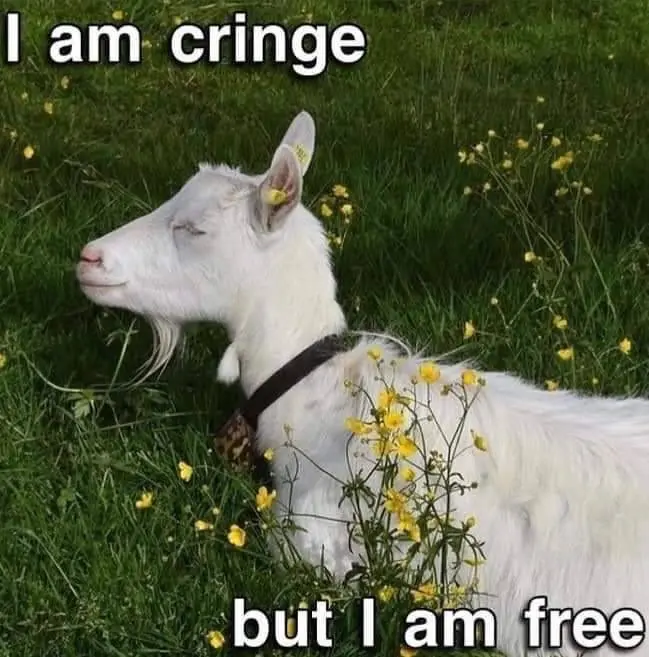 Photo of a goat in a field with the caption: 'I am cringe but I am free'.