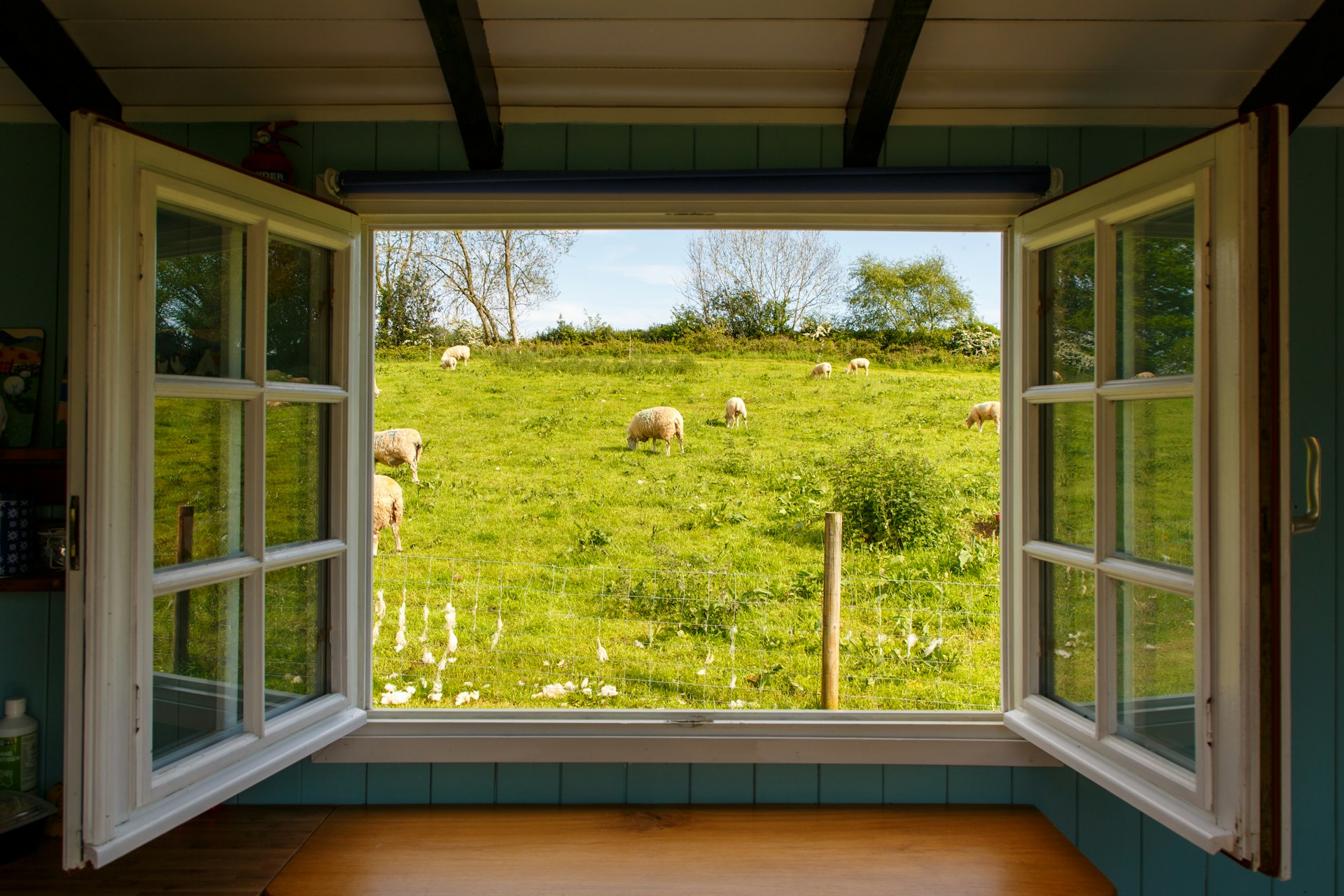 An open window showing sheep and grass