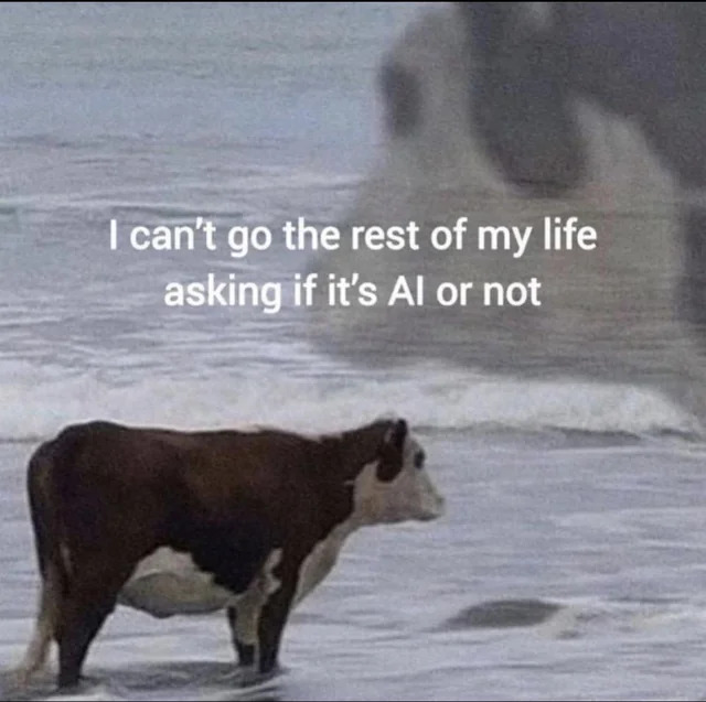 Cow looking at the see with the caption 'I can't go the rest of my life asking if its AI or not'