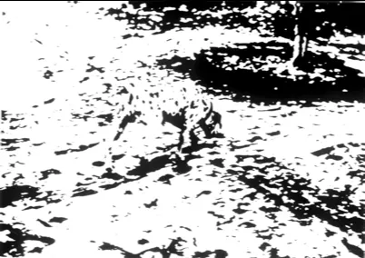black and white image where it's difficult to figure out what's going on