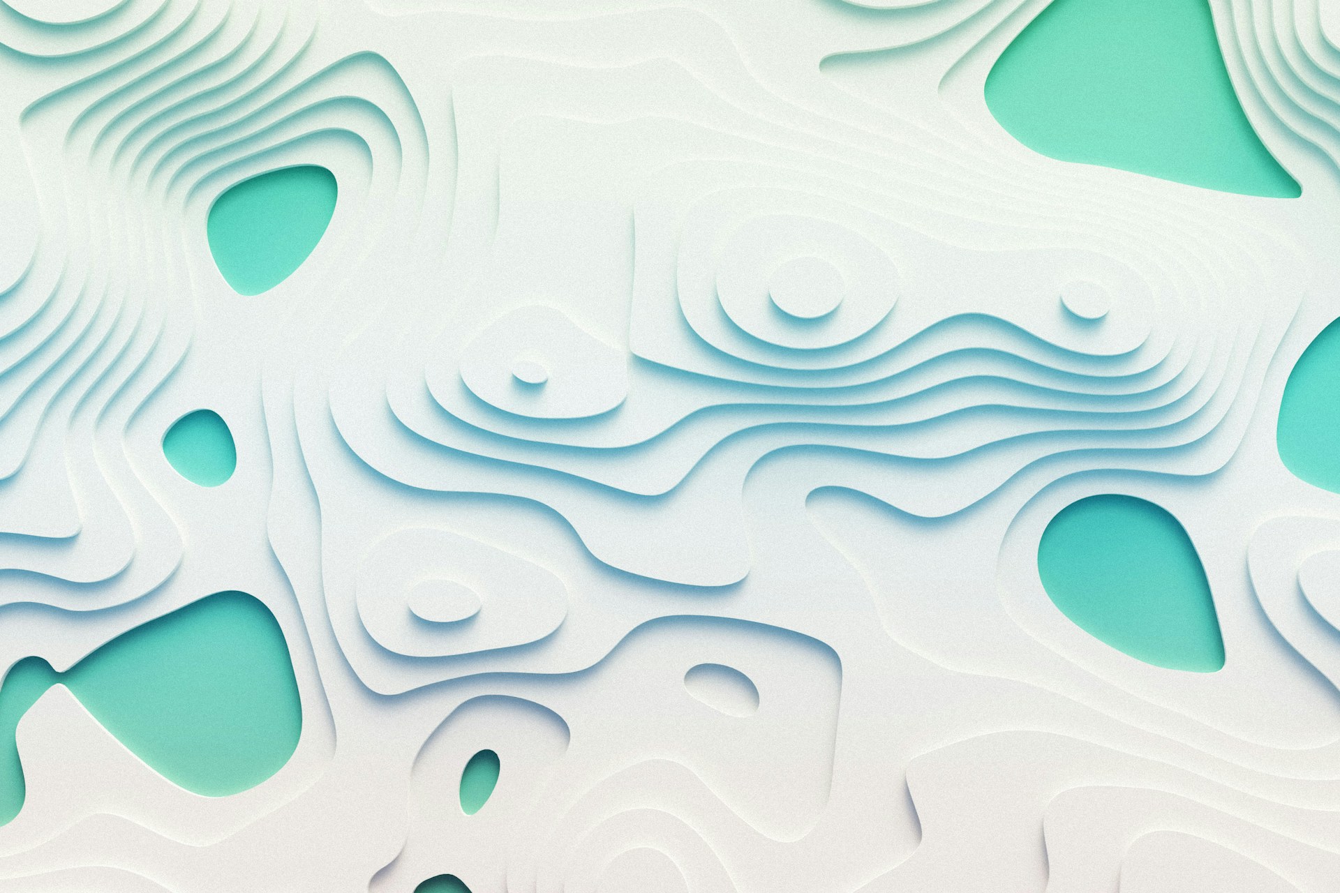 Generated contours