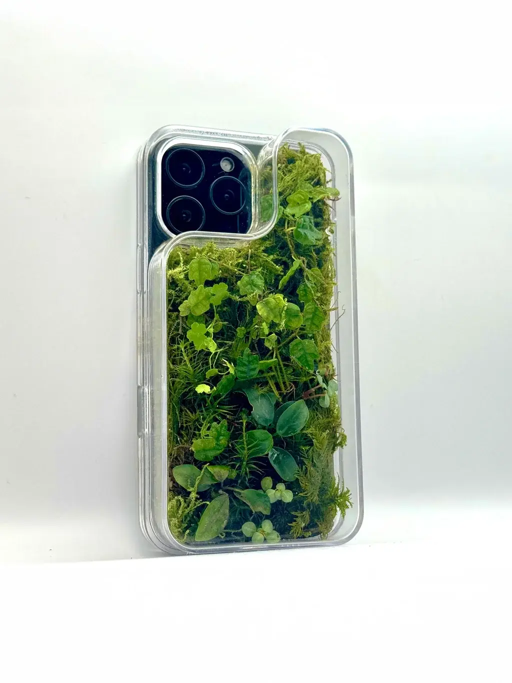 Terrarium phone case