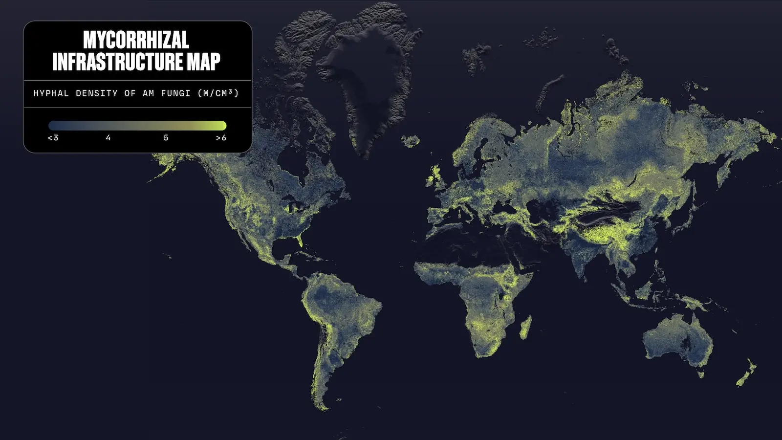In this map, brighter yellow spots indicate higher densities of arbuscular mycorrhizal fungi.