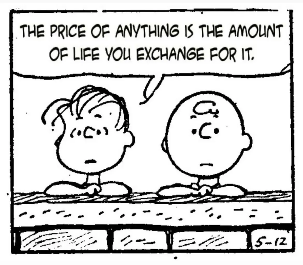 Peanuts cartoon with one character saying that 'the price of anything is the amount of life you exchange for it'