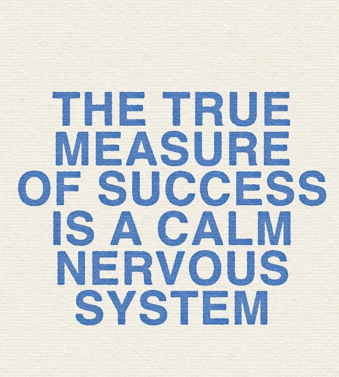 Blue text on a white background reading THE TRUE MEASURE OF SUCCESS IS A CALM NERVOUS SYSTEM